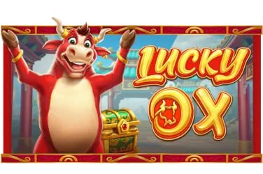 thomo777 bảo mật thông tin người dùng
